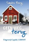 Geen weg terug - Sandra Berg - 9789462040229