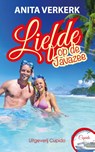 Liefde op de Javazee - Anita Verkerk - 9789462041271