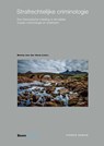 Strafrechtelijke criminologie - B. van der Vorm - 9789462126831