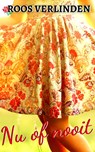 Nu of nooit - Roos Verlinden - 9789462176034