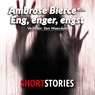 Eng, enger, engst - Ambrose Bierce ; Charles Bukowski ; D. Donovan ; David Ely - 9789462177574