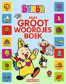 Mijn groot woordjesboek - Gert Verhulst - 9789462773103
