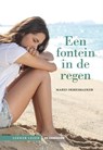 Een fontein in de regen - Mario Demesmaeker - 9789462917637