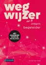 Wegwijzer voor de intern begeleider - Vivian van Alem - 9789463172059