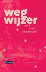 Wegwijzer voor de intern begeleider - Vivian van Alem - 9789463172059