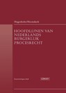 Hoofdlijnen van Nederlands Burgerlijk Procesrecht - W. Hugenholtz ; W. Heemskerk - 9789463173001