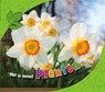 Planten - Martha Rustad - 9789463412209
