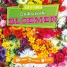 Onderzoek: Bloemen - Lindsey Lowe - 9789463416245