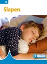 Slapen - Minke van Dam - 9789463418362