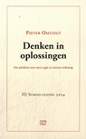 Denken in oplossingen - Pieter Omtzigt - 9789463481212