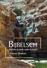 Bijbelsch - Adriaan Deurloo - 9789464313451