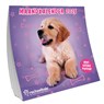 Rachel Hale honden Amerikaanse kalender - 2026 - Rachel Hale - 9789464328509