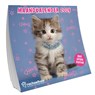 Rachel Hale katten Amerikaanse kalender - 2026 - Rachel Hale - 9789464328899