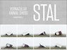 Servaas Van Belle – STAL - Servaas Van Belle ; Stephan Vanfleteren - 9789464366372