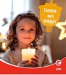 Feest met lichtjes - Minke van Dam - 9789464393002
