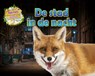 De stad in de nacht - Ruth Owen - 9789464393361