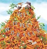 Veel te veel wortels - Katy Hudson - 9789464397345