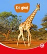 De giraf - Minke van Dam - 9789464397451