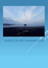 Poëzie in het blauwe uur - Anna van Mansom - 9789464437072