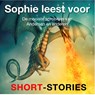 Sophie leest voor - Hans Christian Andersen ; Nelly Kunst ; F.M. Crawford - 9789464490510