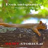 Even ontspannen - Herman Pieter de Boer - 9789464490725