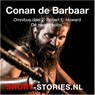 De zwarte kolos - Robert E. Howard - 9789464491296