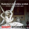 Rodenko's kostelijke erotiek - Paul Rodenko - 9789464492743