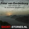 Peter van Eerdenburg - W. Somerset Maugham ; Robert G. Fuller ; Ross McDonald ; Ruth Rendell ; Stanly Cohen ; Tanith Lee ; William Faulkner ; Wswolod Iwanow ; Yukio Mishima - 9789464496468