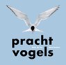 Prachtvogels - René de Vos ; Hans Peeters - 9789464711752