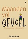 Maanden vol gevoel - Bram Bax - 9789464895599