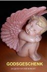 Godsgeschenk - Jacques Van der Borght - 9789464928921
