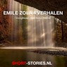 Emile Zola - Emile Zola - 9789464933284