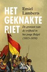 Het geknakte riet - Emiel Lamberts - 9789464984736