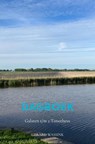 Dagboek Galaten t/m 2Timotheus - Gerard Wassink - 9789465310510