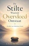 De Stilte Waaruit Overvloed Ontstaat - Chris De Buyser - 9789465319483