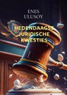 Hedendaagse juridische kwesties - Enes Ulusoy - 9789465386164