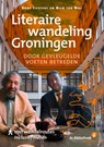 Literaire wandeling Groningen - Roos Custers ; Nick ter Wal - 9789491065231
