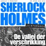 De vallei der verschrikking - Arthur Conan Doyle - 9789491159923