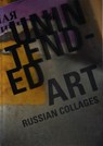 Unintended Art - Niek Biegman - 9789491525780