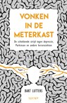 Vonken in de meterkast - Bart Lutters - 9789491729775