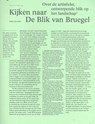 Kijken naar de Blik van Bruegel - Stefan Devoldere ; Kris Pint - 9789491789212