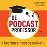 De Podcastprofessor - Peter de Ruiter - 9789491833687