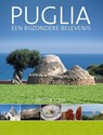 Puglia, een bijzondere belevenis - Hetty de Vogel - 9789492199584