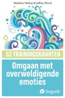 Omgaan met overweldigende emoties -  - 9789492297419