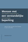 Mensen met een verstandelijke beperking - Pieter Hermsen - 9789492333483