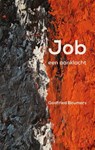 Job, een aanklacht - Godfried Beumers - 9789492421920