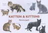Katten & Kittens -  - 9789492938138