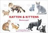 Katten & Kittens -  - 9789492938138