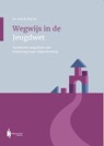 Wegwijs in de Jeugdwet - W.M.B. Elferink - 9789492952370