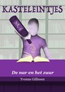 De nar en het zuur - Yvonne Gillissen - 9789493016255